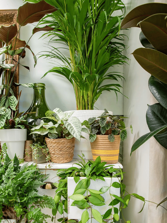 Tailler le caoutchouc