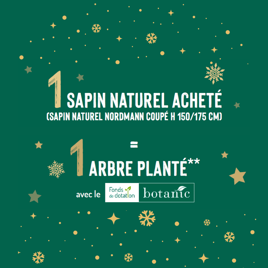Opération 1 sapin naturel = 1 arbre planté avec le fonds de dotation botanic