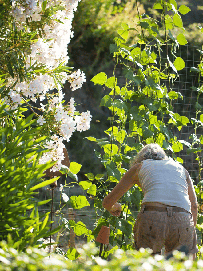 Une femme dans son potager dans un coin d'ombre