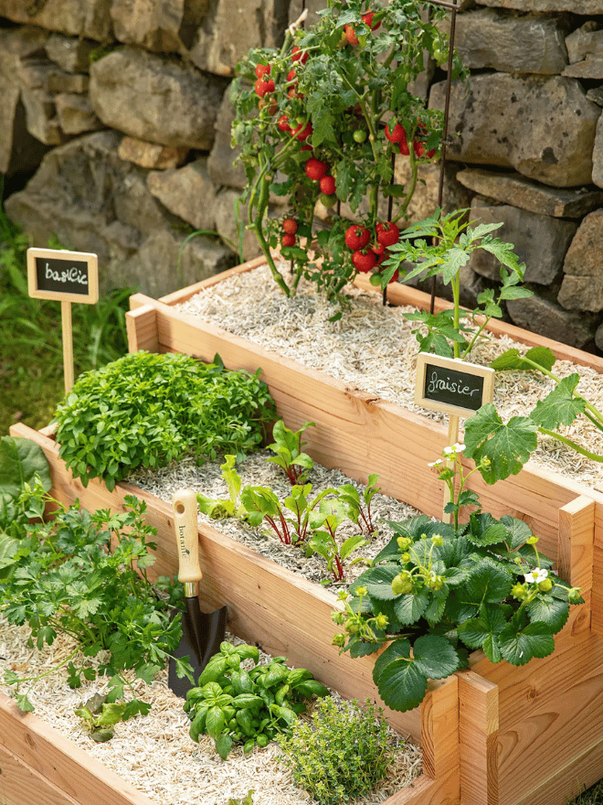 Plants de fruits et légumes faciles dans un carré potager