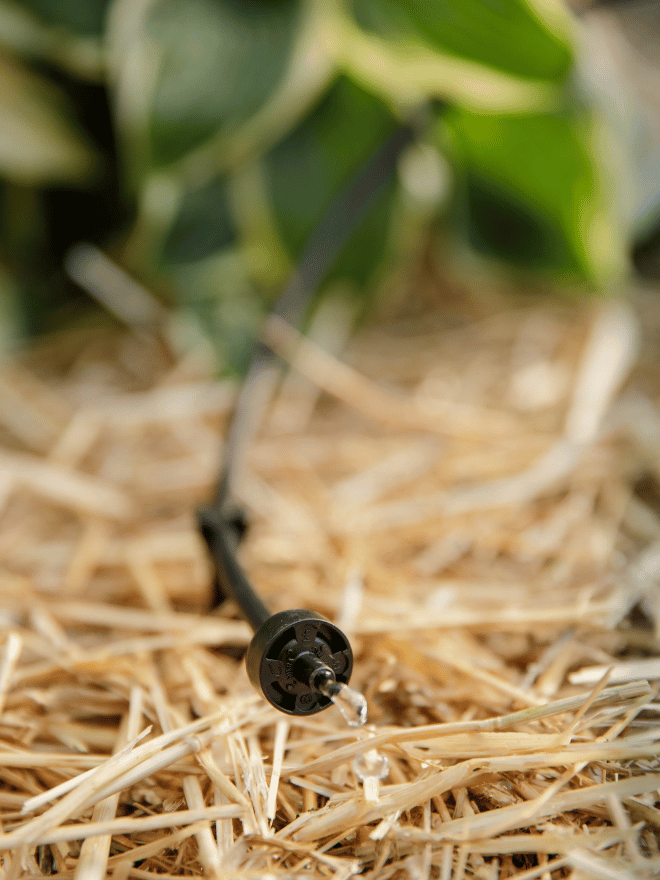 Un homme qui installe son système d'arrosage goutte-à-goutte