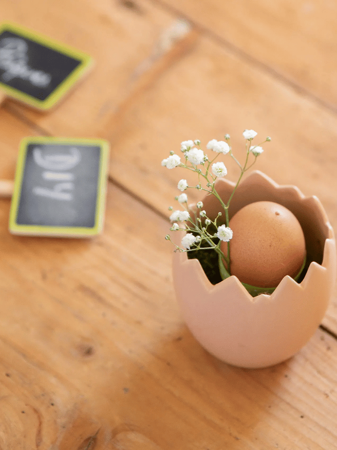 Zoom sur un œuf dans un cache pot œuf