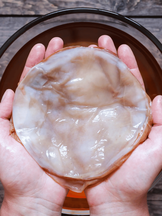 La préparation du thé kombucha