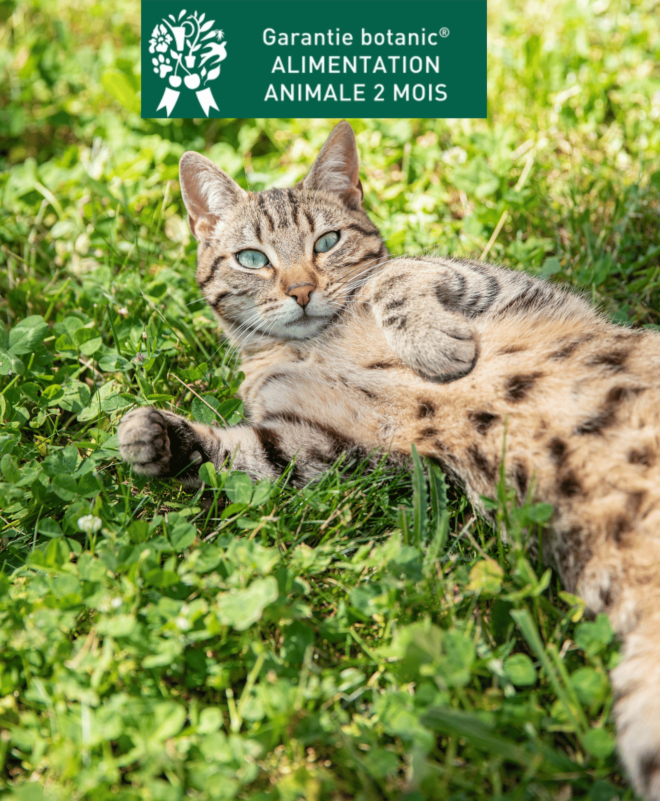 Un chat allongé dans l'herbe avec un pictogramme sur la garantie alimentation animale