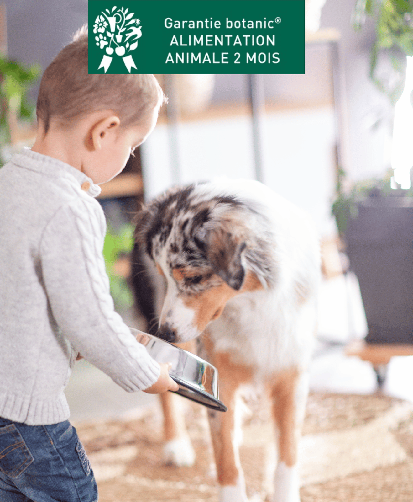 Un enfant qui donne a manger à un chien dans une gamelle + pictogramme garantie alimentation