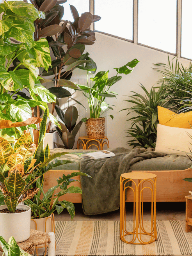 Une chambre exposée au soleil avec plusieurs plantes d'intérieur et des décorations jaune