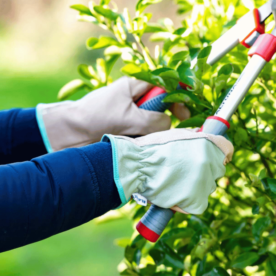 Gants pour jardiner et se protéger