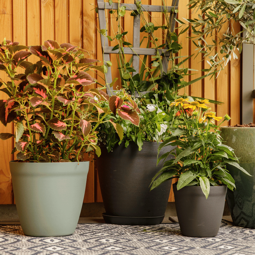 Les pots citoyens botanic en plastique recyclé