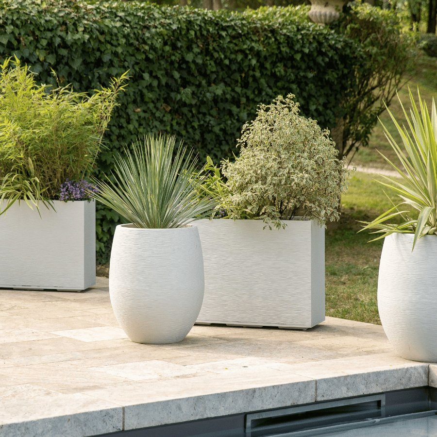 Pots et bacs avec des plantes sur le bord de la piscine