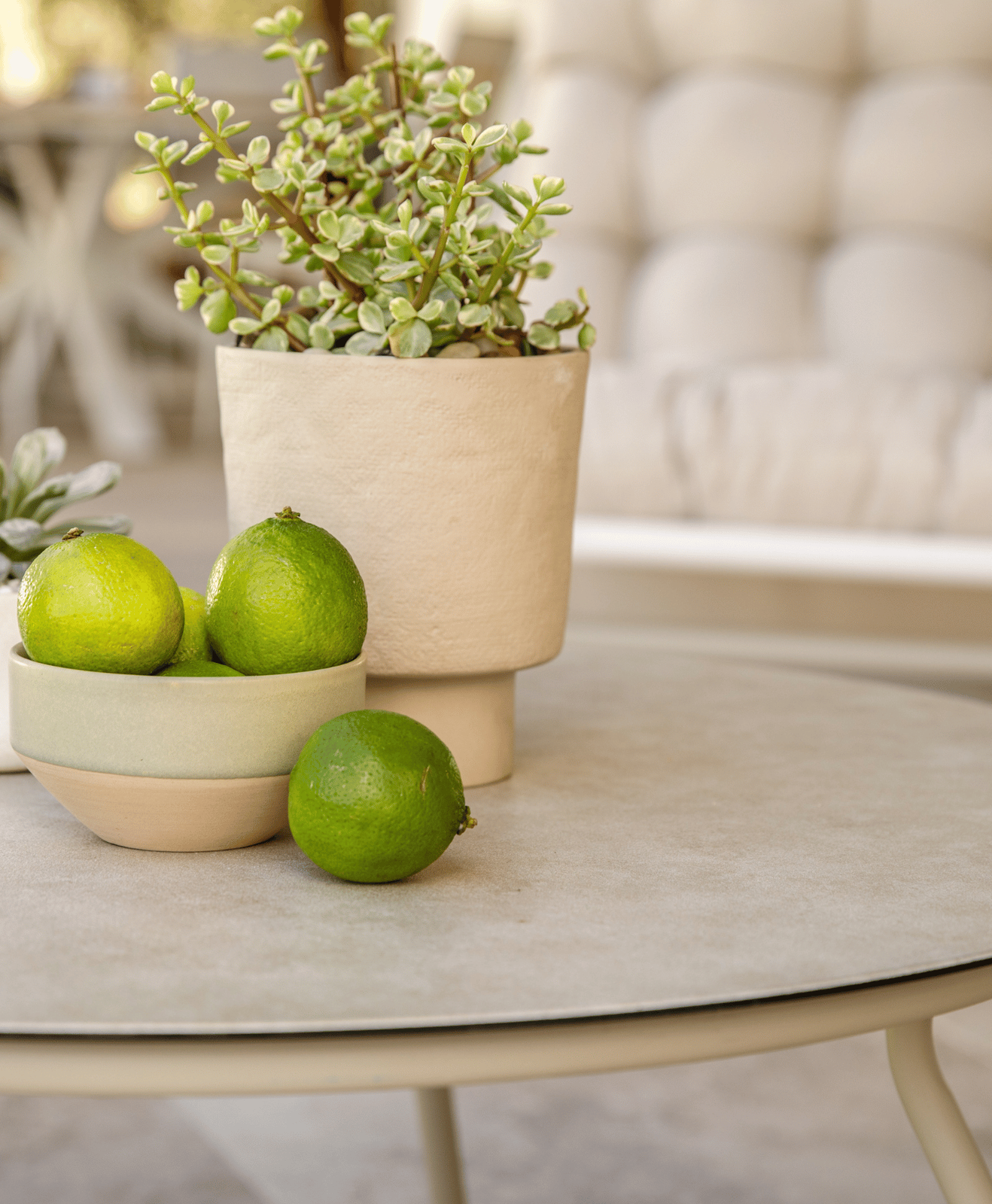 Accessoires de décoration du salon bas Iris : pots et plantes vertes