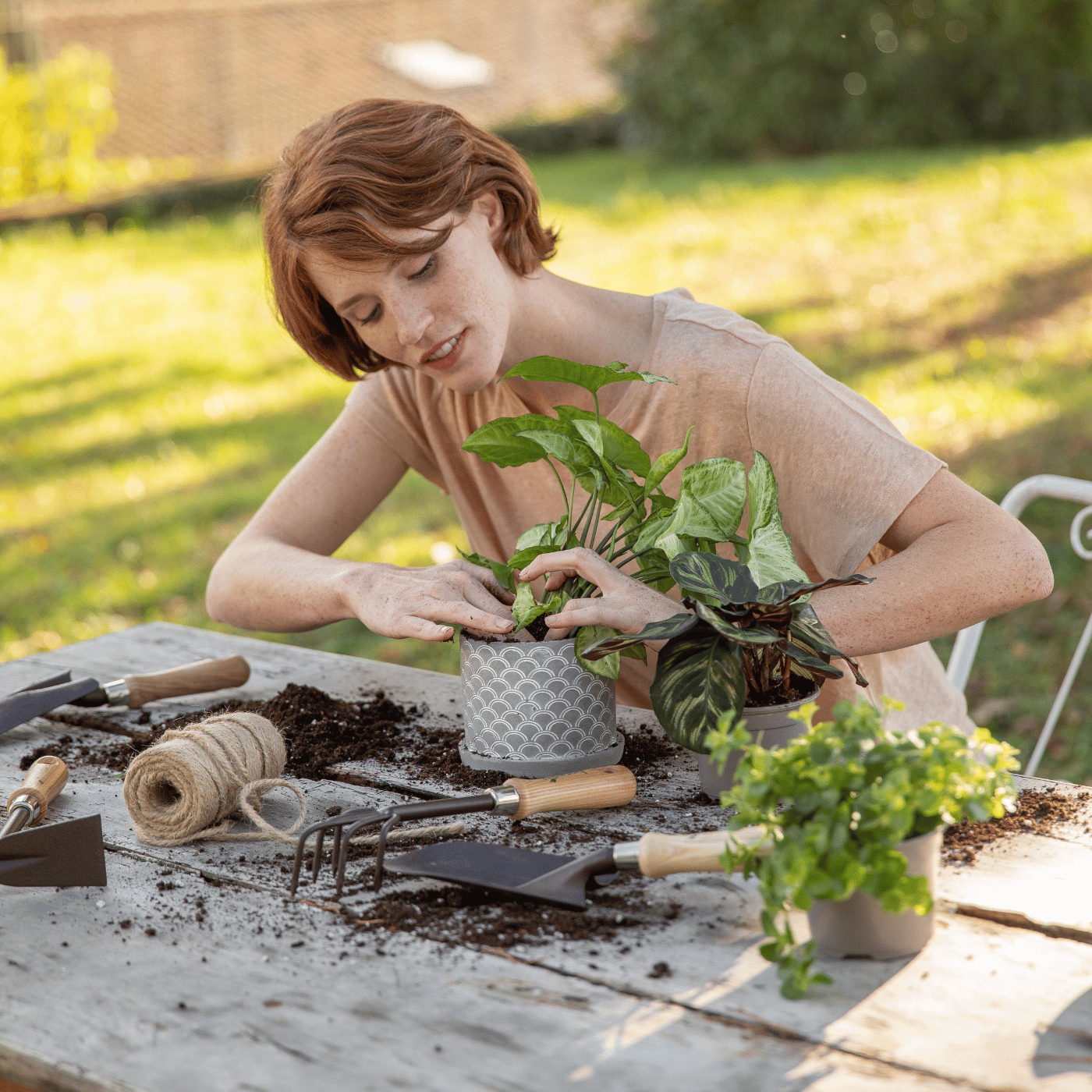 Une femme est en train de rempoter ses plantes vertes