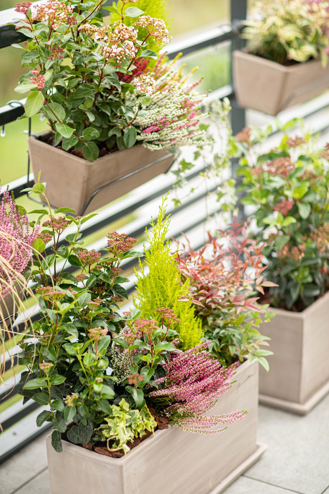Des jardinièrse et des bacs à fleurs sur une terrasse