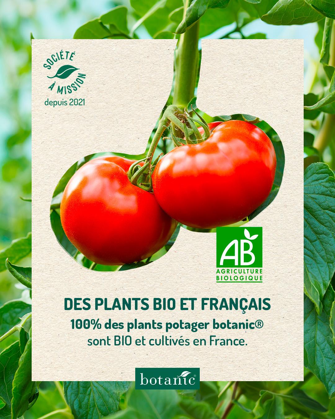 Affiche bio : des plants bio et français