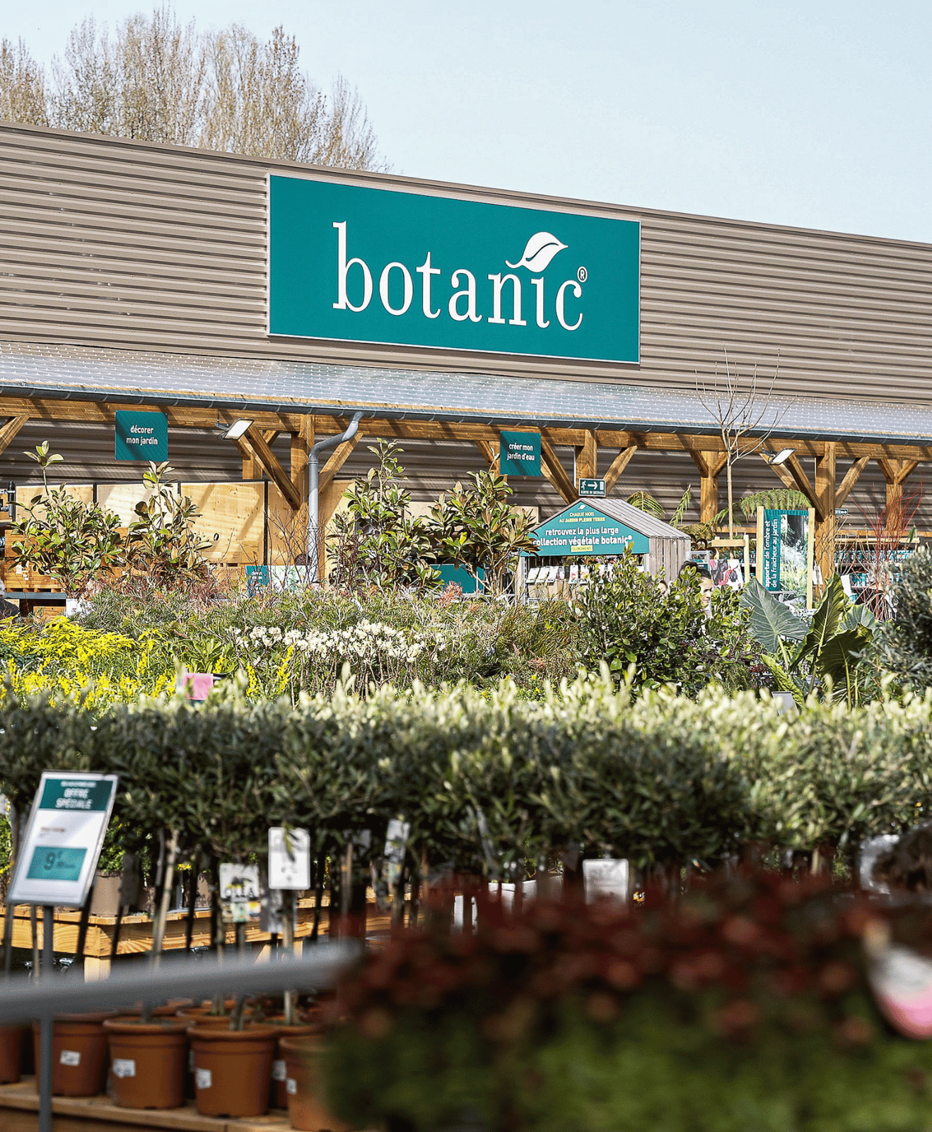 Plantes d'extérieur en magasin botanic