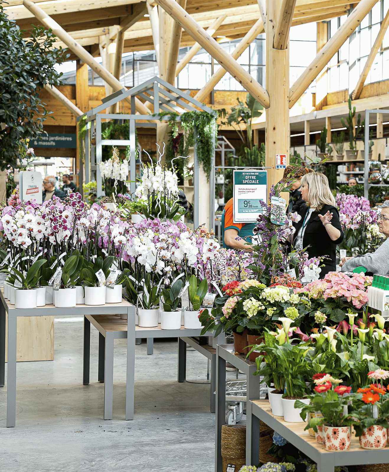plantes d'intérieur en magasin botanic