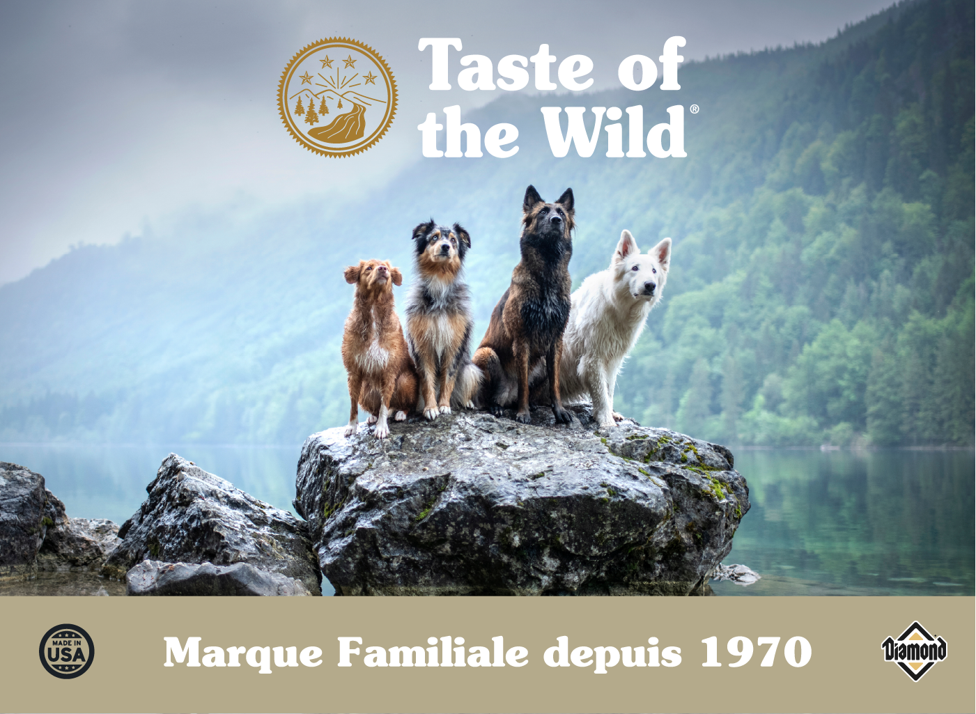 Module réassurance page marque TOTW mobile
