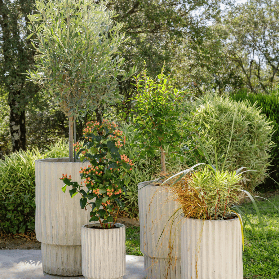 Pots et bacs de jardinerie, pour sublimer vos végétaux