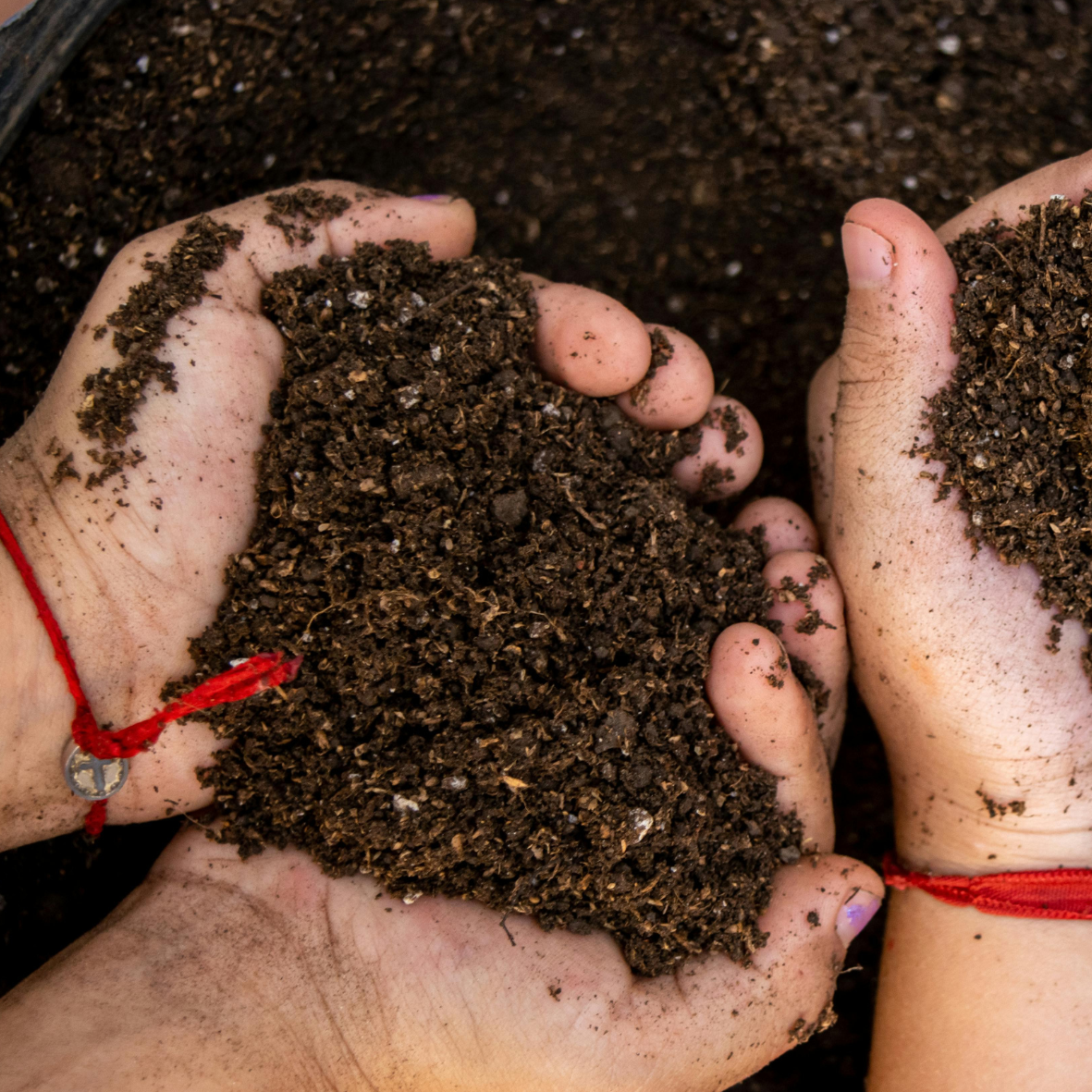 Des mains qui creusent dans la terre