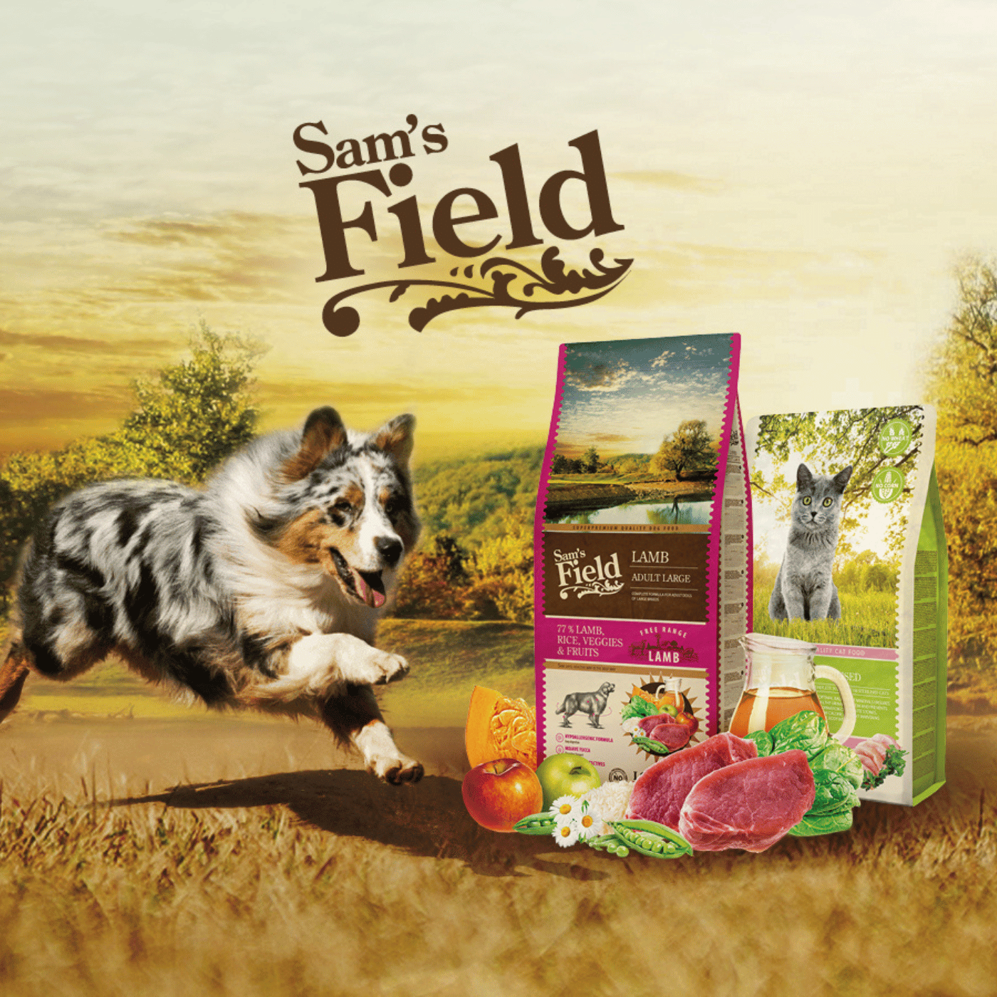 retail-média-sams-field-shop-the-look