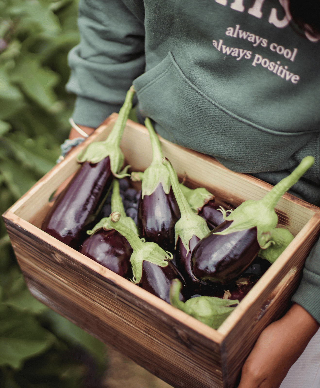 Un homme tenant une cagette d'aubergines