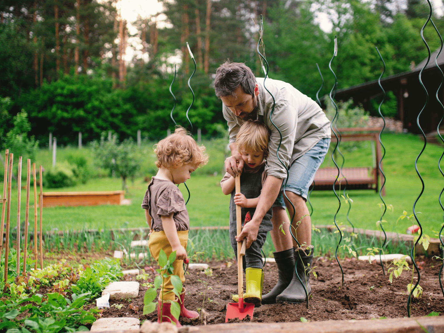 Un père et ses deux enfants au potager