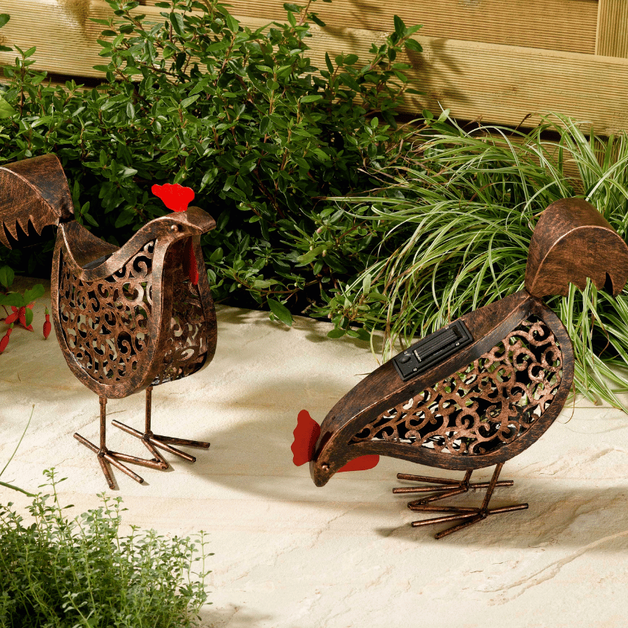 Poules lumineuses solaire à mettre en extérieur