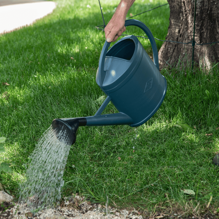 Arrosage du jardin avec un arrosoir
