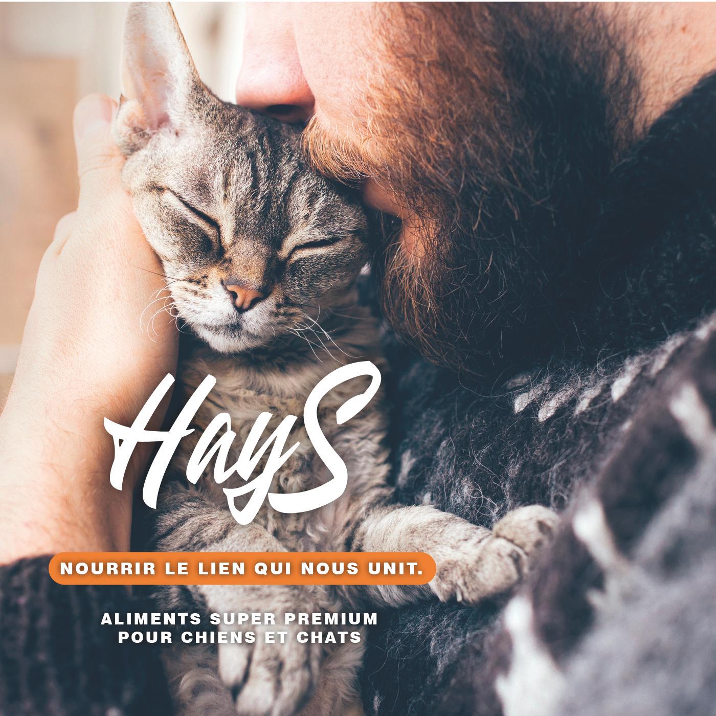 Visuel retail média shop the look mise en avant chat Hays