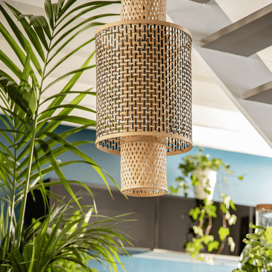 Luminaire beige et noir, suspendu autour de plante.