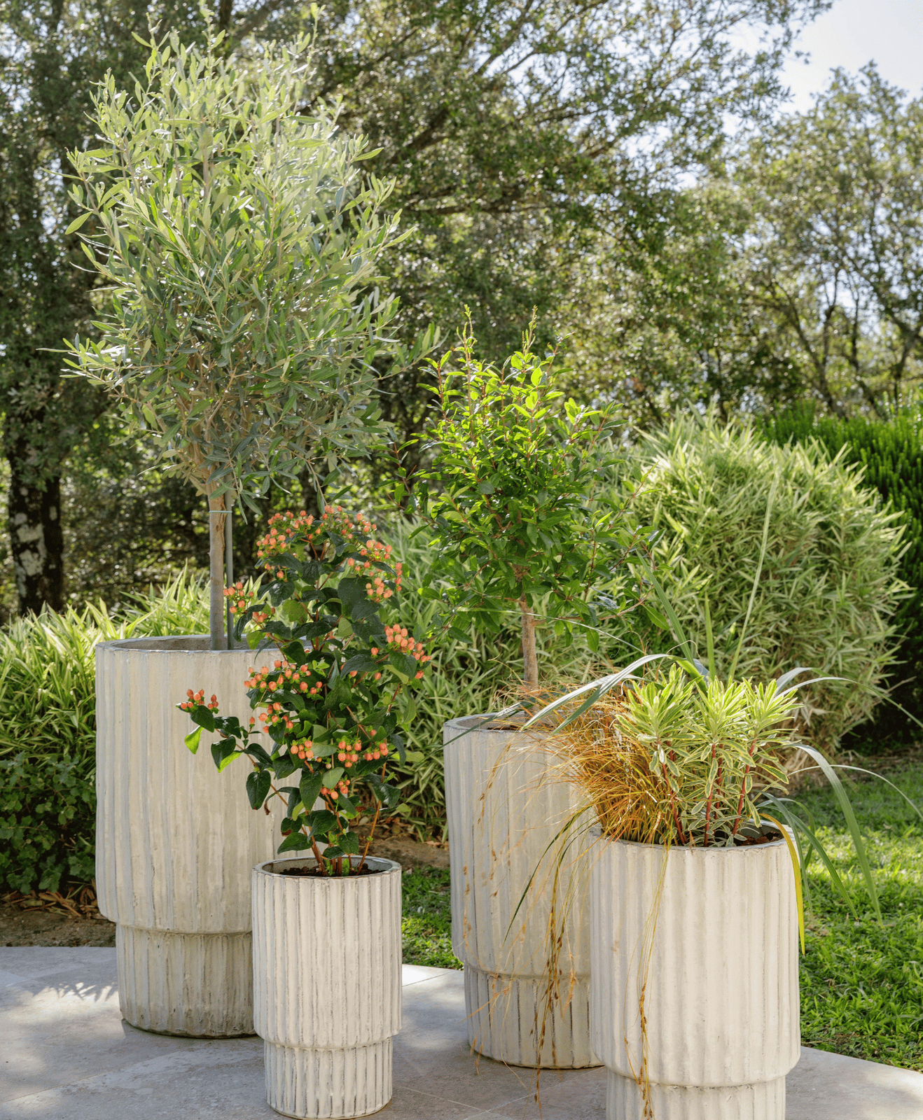 Des plantes résistantes en pot sur la terrasse