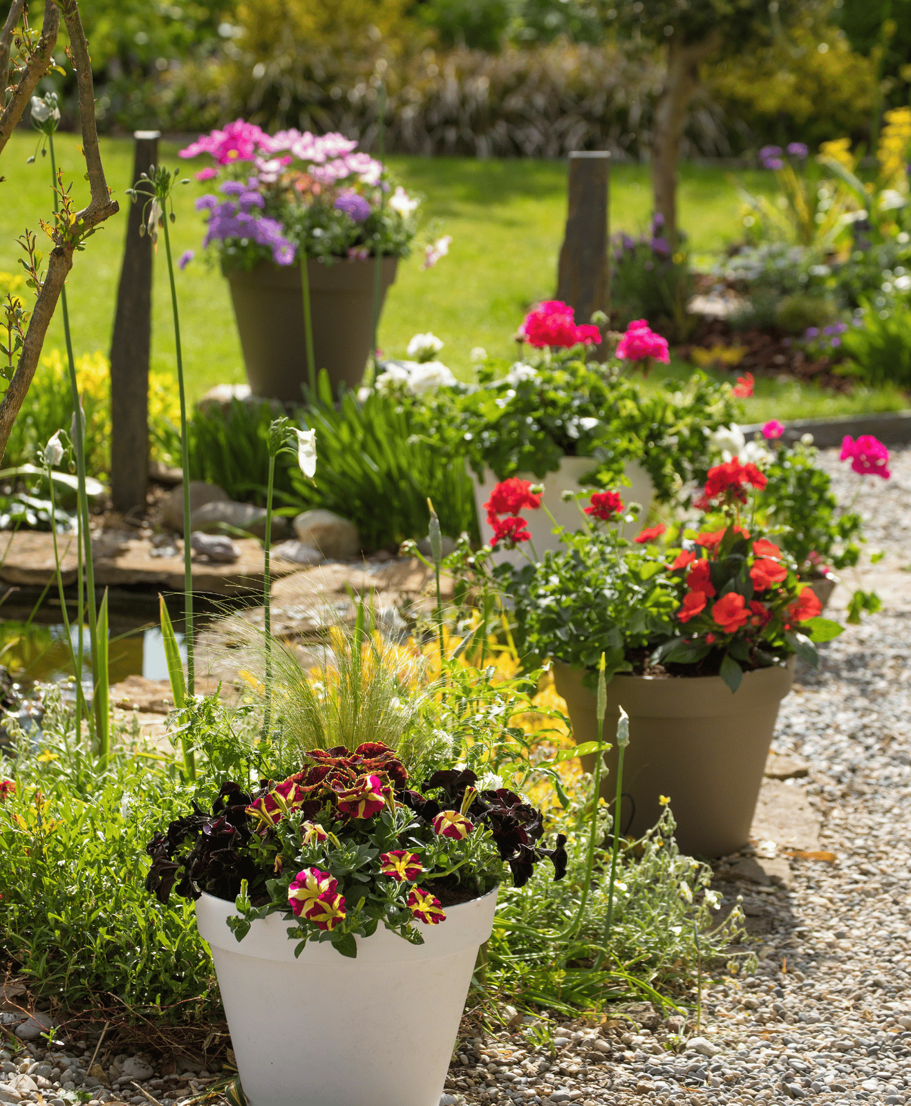 Des plantes fleuries résistantes dans un jardin