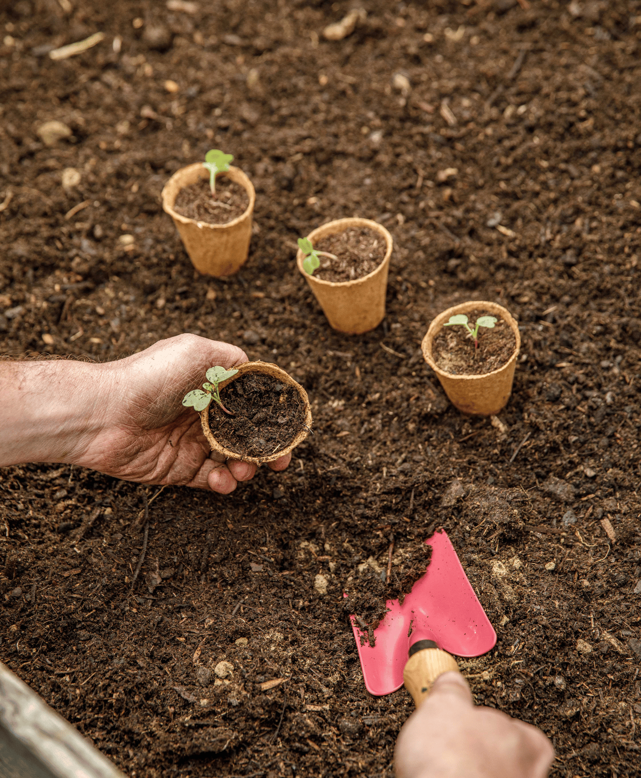 Une personne qui plante des boutures grâce a de la terre de plantation