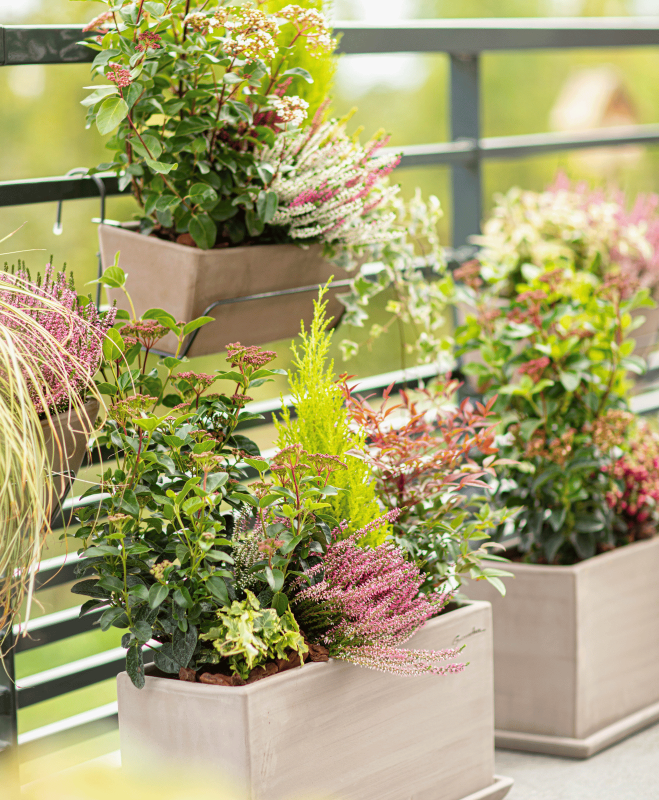 Des bacs et des jardinières fleuries sur un balcon