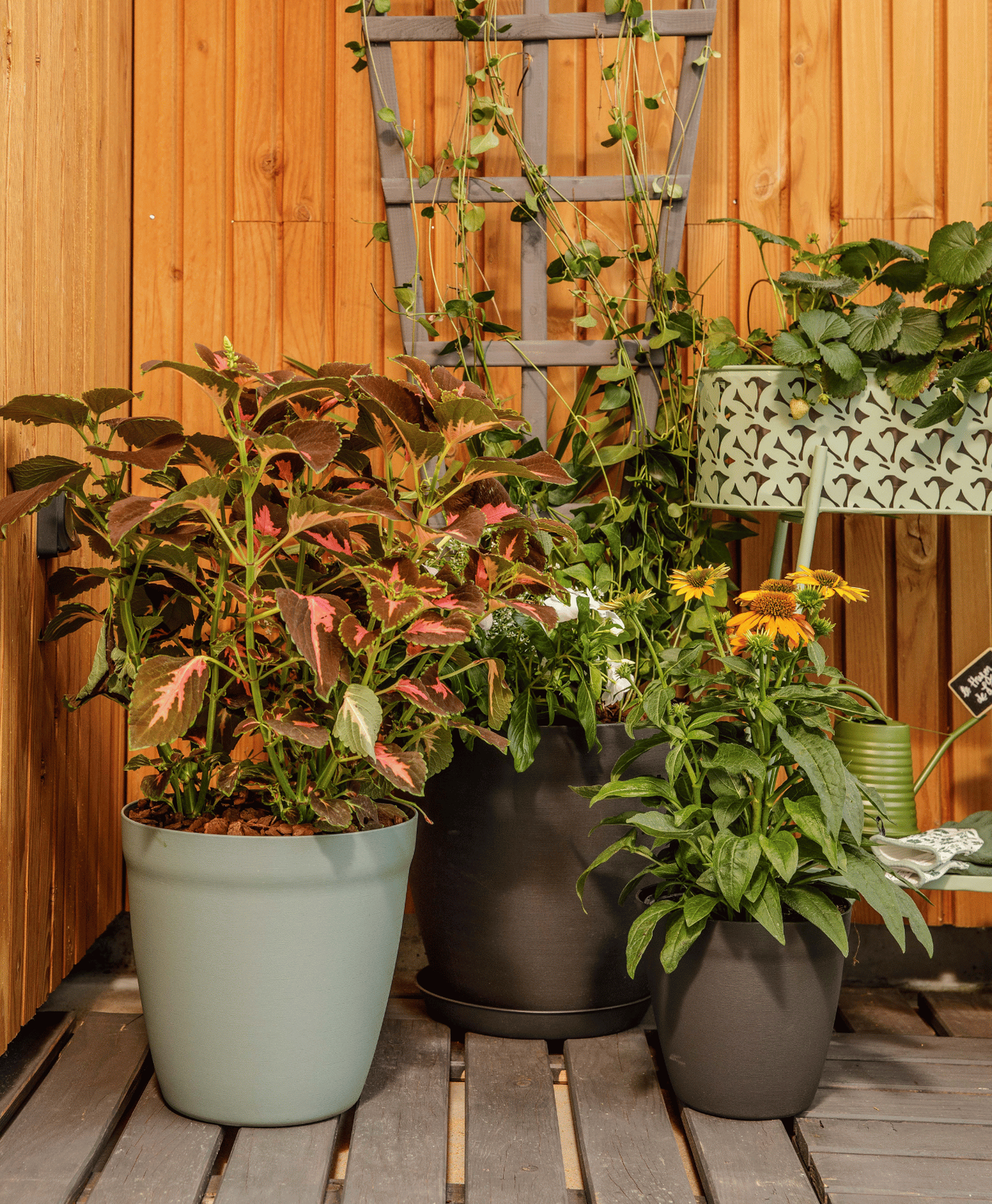 Des pots et une jardinières de différents matériaux et de différentes formes