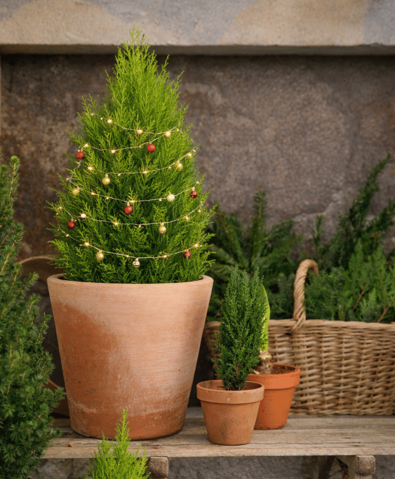 Un mini sapin en pot avec des décorations de noel