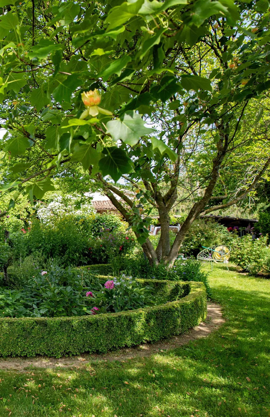 Un jardin ensoleillé au printemps avec un arbre et une haie