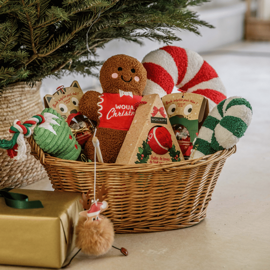 Lots de cadeaux de Noël pour animaux au pied du sapin