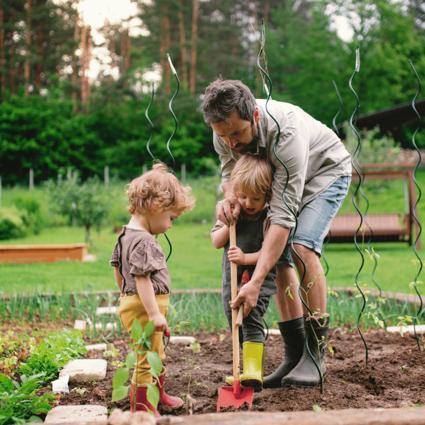 Faire du potager avec ses petits-enfants