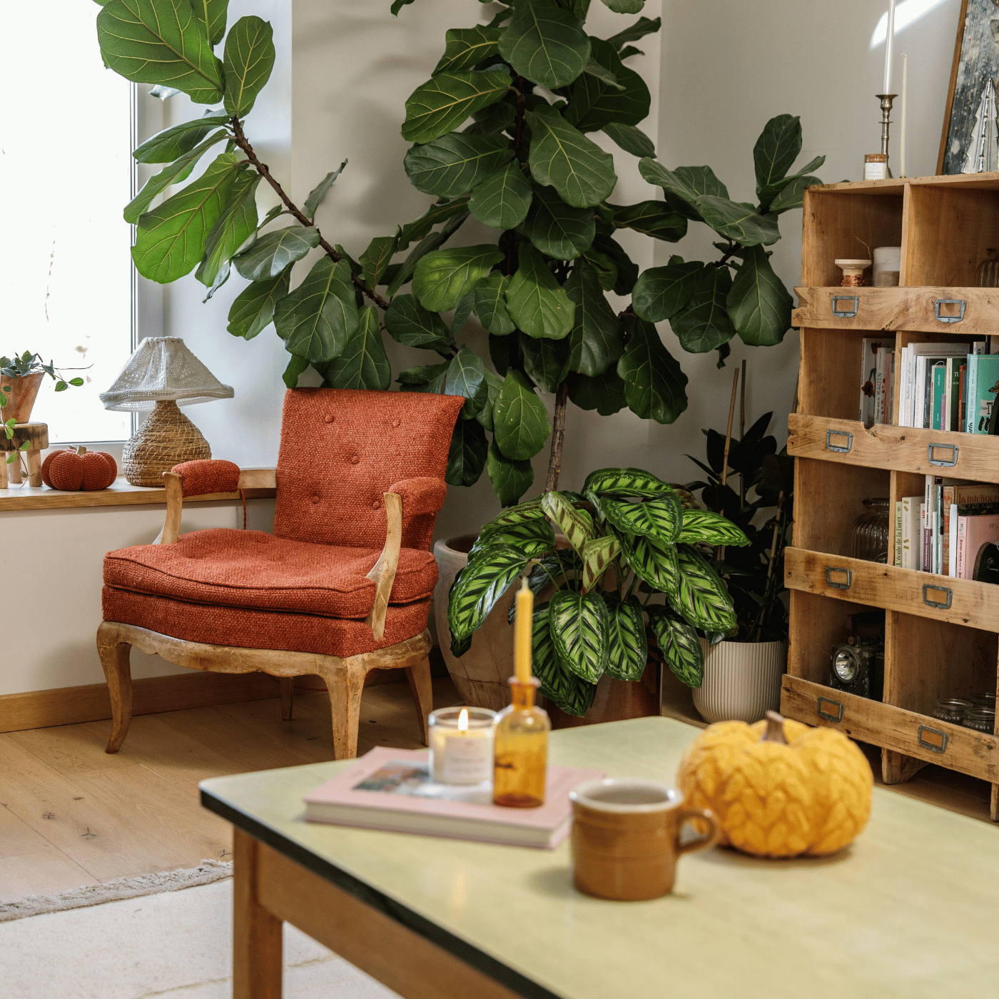 Fauteuil marron dans un salon à l'automne