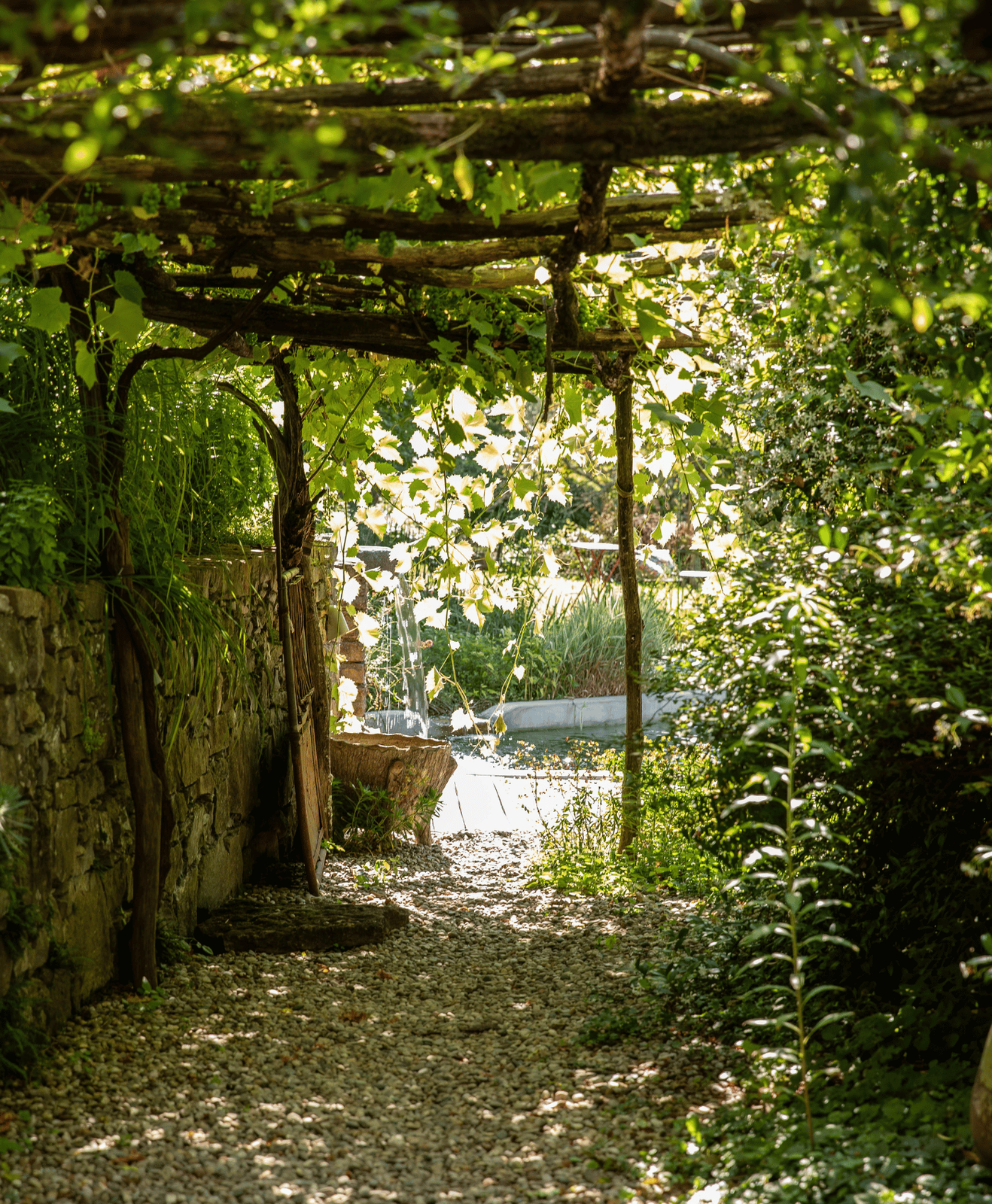 Un sentier entouré de verdure