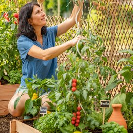 juillet-jardin-agenda-du-jardinier-geste-potager-recolte-radis-chapeau-paille-tee-shirt-bleu