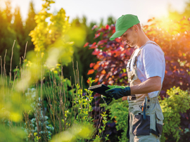 Toutes l'expertise de nos experts botanic au service de votre jardin