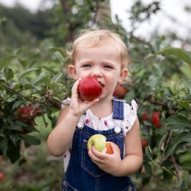 Enfant mange une pomme sans pesticides