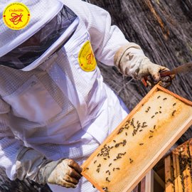 Un apiculteur unaf récolte le miel des abeilles