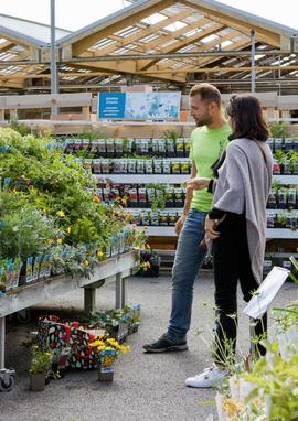 Services pour potager et verger