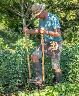 Un homme dans son potager est en train de retourner sa terre avec sa fourche