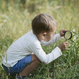Observation et exploration de la nature pour enfants