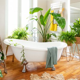 Zoom sur une salle de bain avec de nombreuses plantes vertes