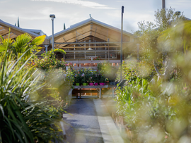 Magasin vu de l'extérieur entouré de végétaux