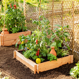 Carré potager en bois rempli de plants potager et avec un oyas à l'intérieur